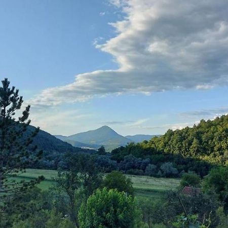 Oaza Deli Apartment Kulen Vakuf Bagian luar foto