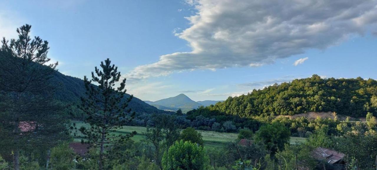 Oaza Deli Apartment Kulen Vakuf Bagian luar foto